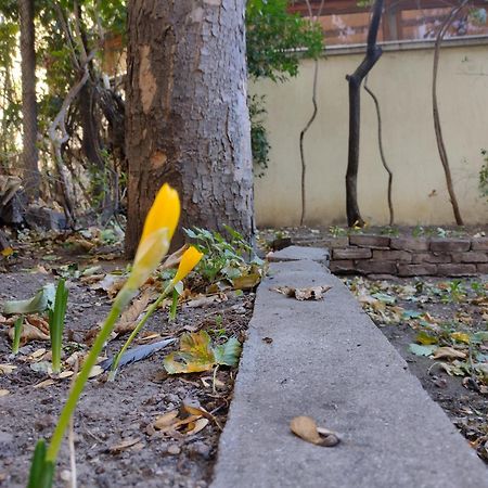 Charming Central Home With Garden Near Parking And Ndk โซเฟีย ภายนอก รูปภาพ