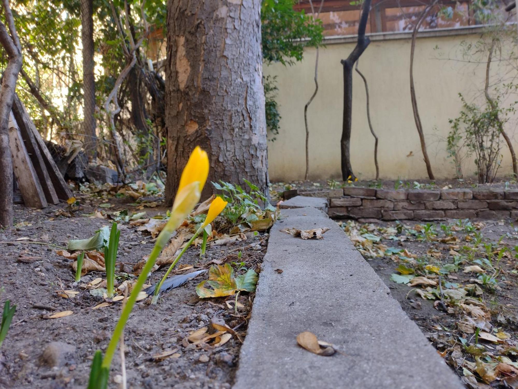 Charming Central Home With Garden Near Parking And Ndk โซเฟีย ภายนอก รูปภาพ